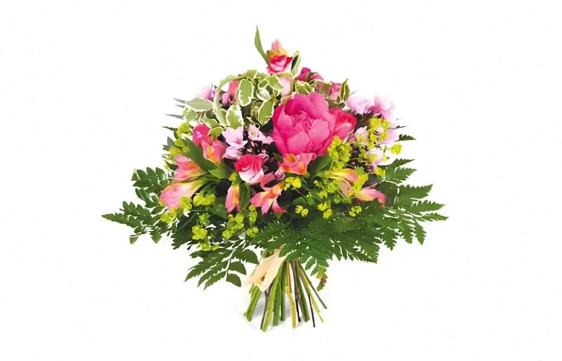 Rêve Fuchsia