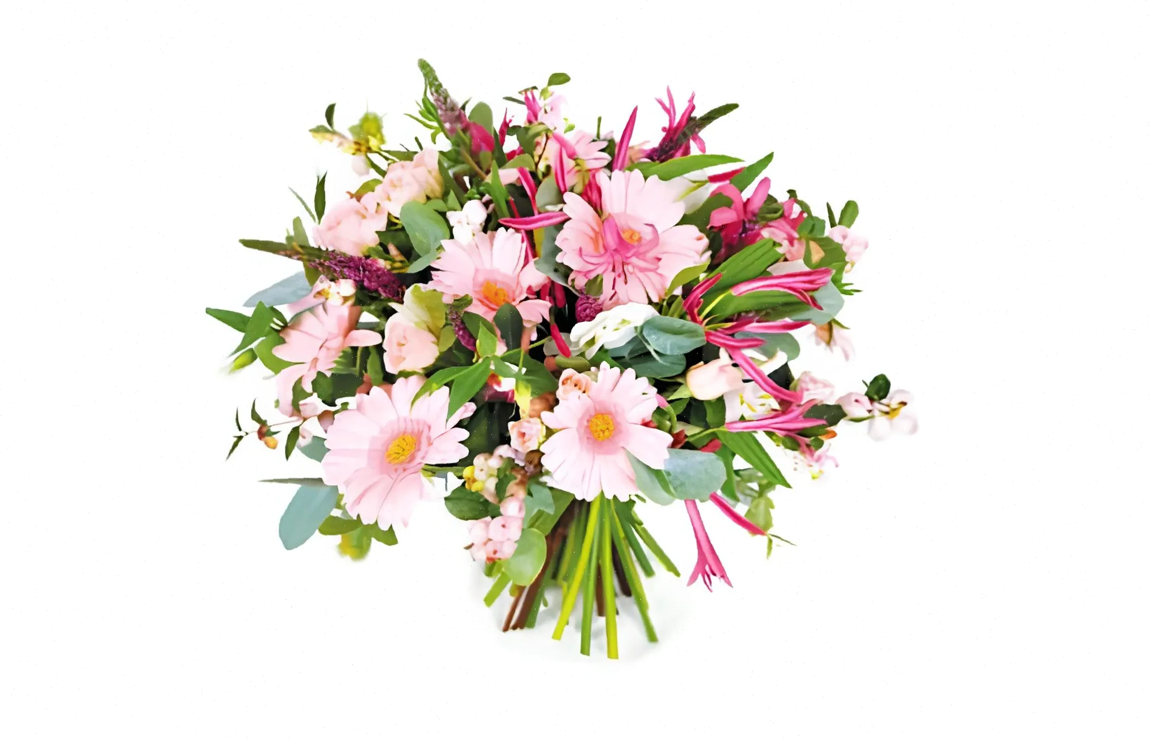 Douce Évasion