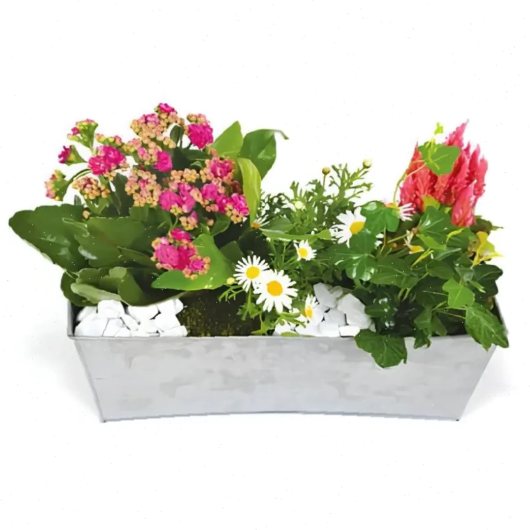 Jardinière de Joie