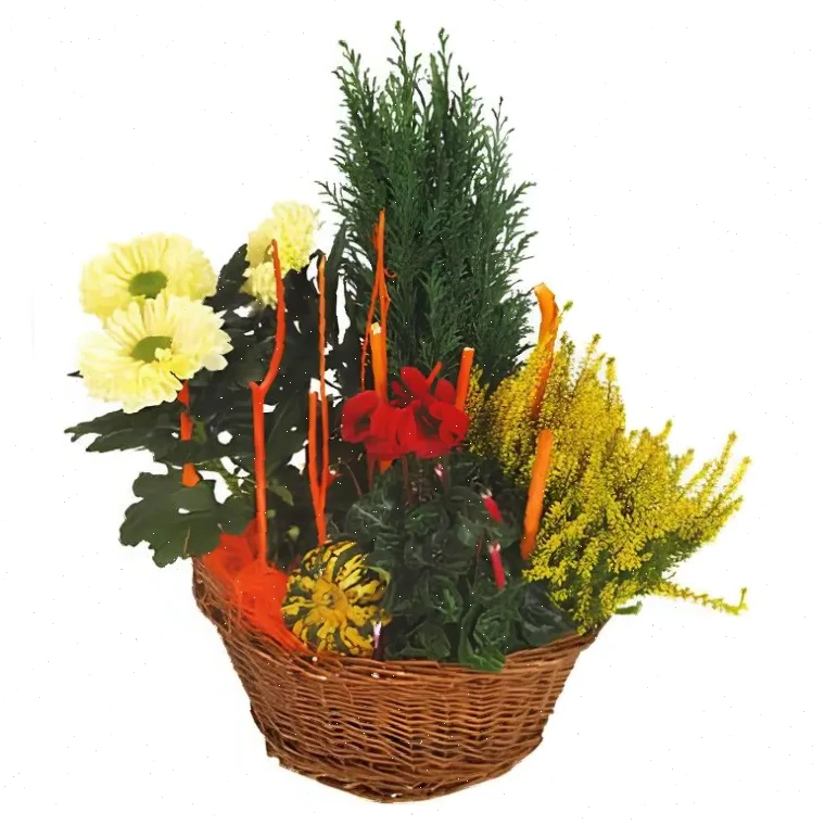 Fête des Saisons
