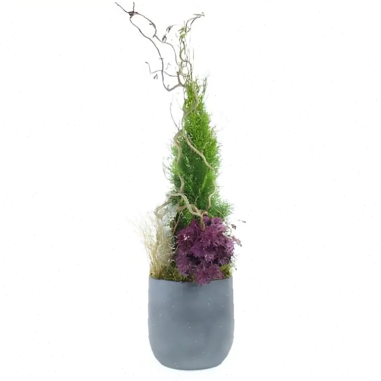 Symphonie Florale