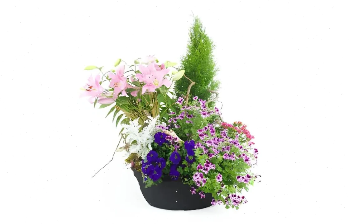 Festive Flourish