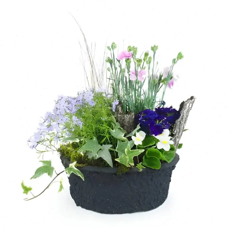 Éclat Floral